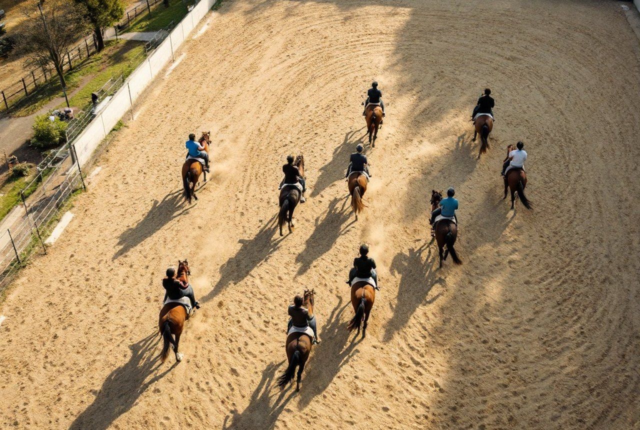Overhead or wide shot of a group lesson in a sand arena with four to six riders at trot